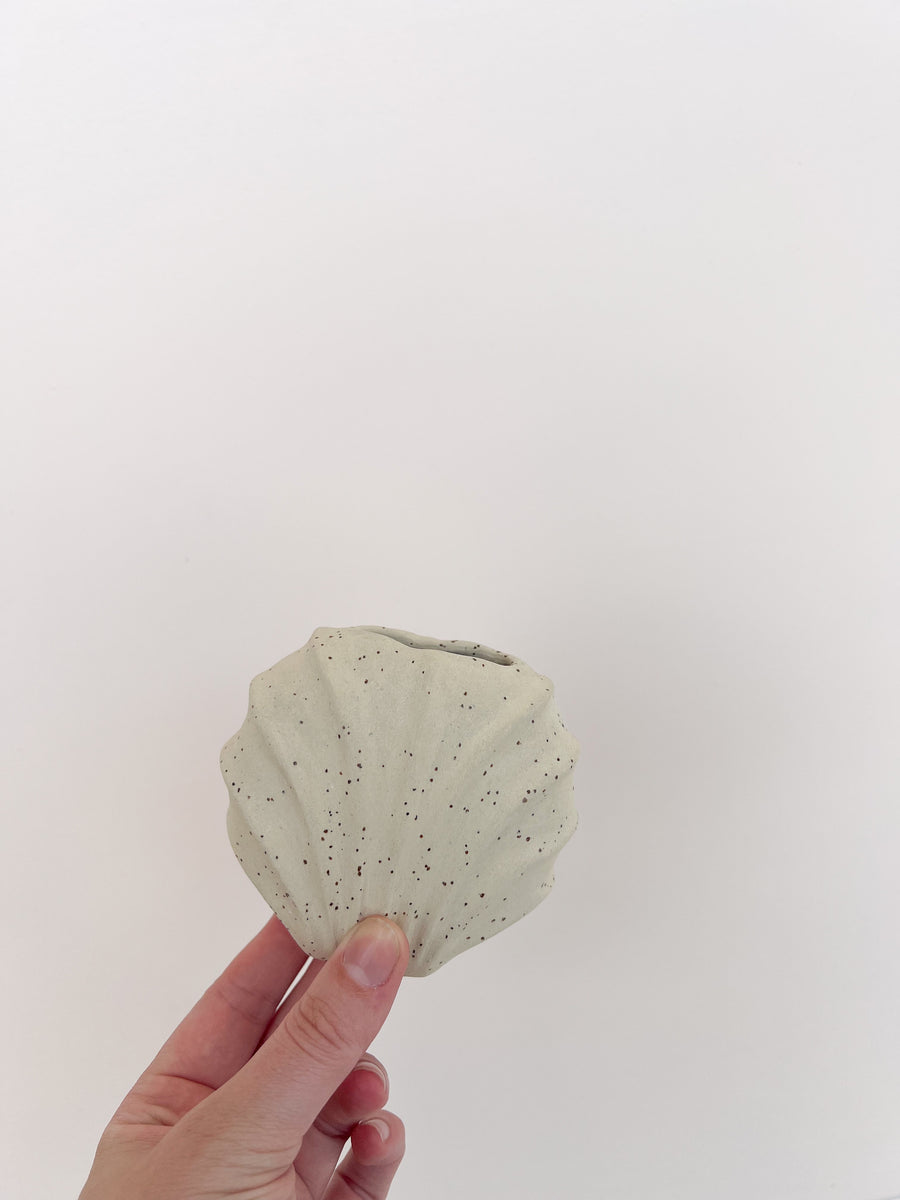 Speckled Raw Shell Vase
