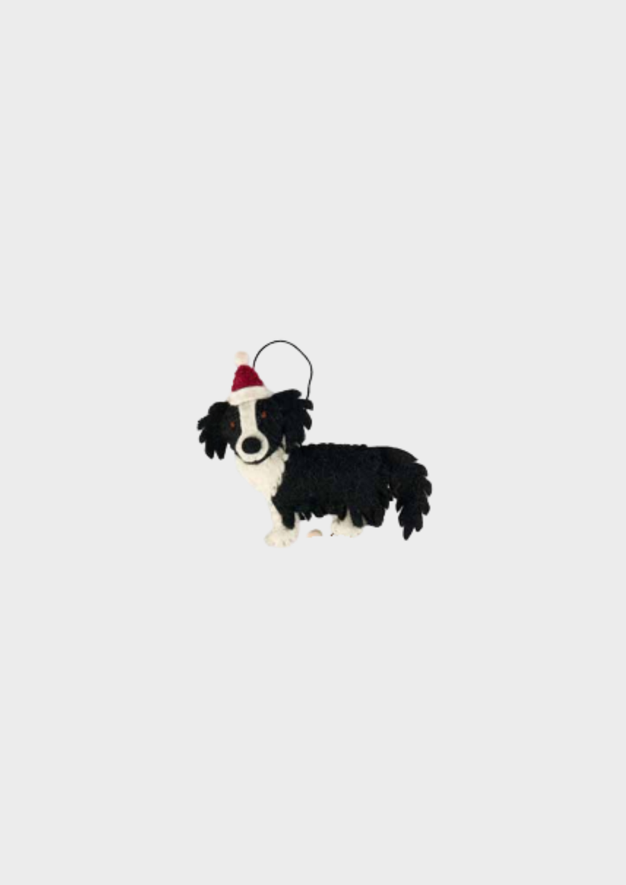 Pashom Christmas Decoration - Border Collie Black