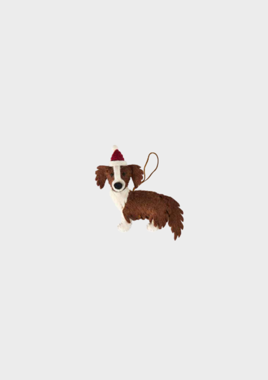 Pashom Christmas Decoration - Border Collie Brown