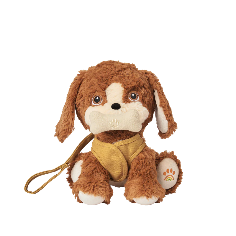 Dinkum Dogs - Buddy